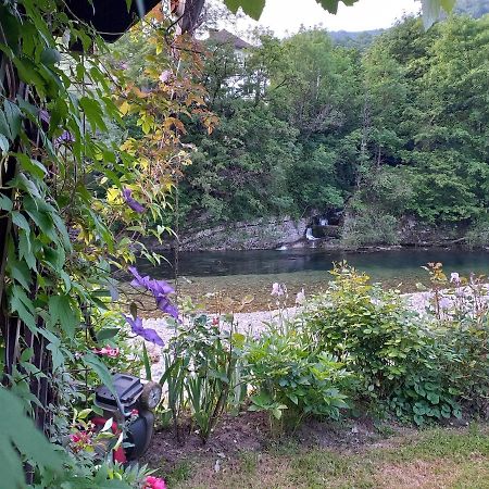 Riverside Villa Avo - Apartment Martin Spodnja Idrija Extérieur photo