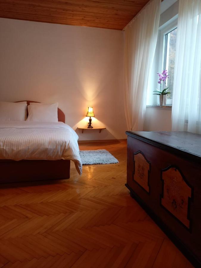 Riverside Villa Avo - Apartment Martin Spodnja Idrija Extérieur photo