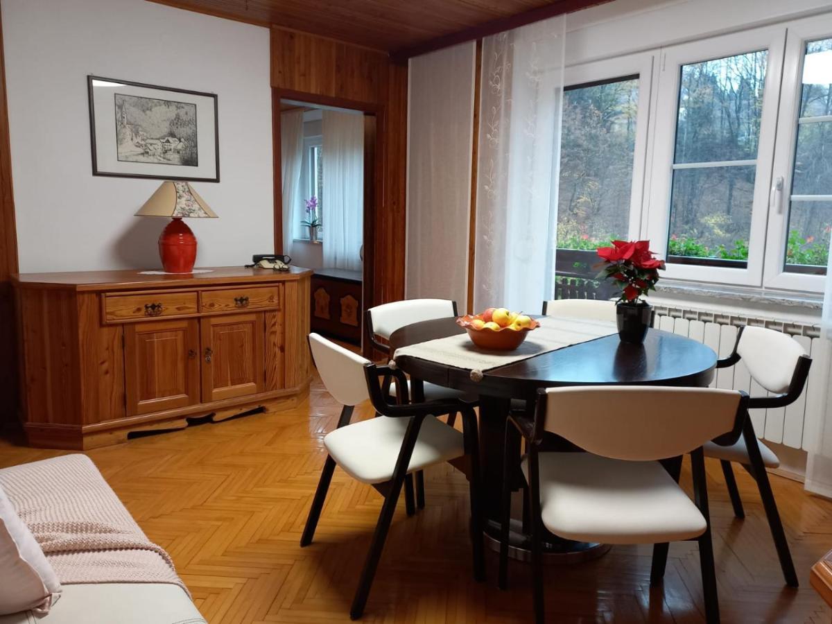 Riverside Villa Avo - Apartment Martin Spodnja Idrija Extérieur photo