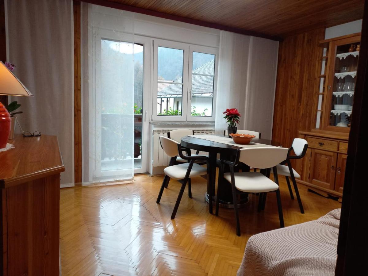 Riverside Villa Avo - Apartment Martin Spodnja Idrija Extérieur photo