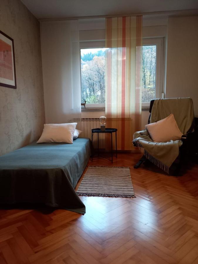 Riverside Villa Avo - Apartment Martin Spodnja Idrija Extérieur photo