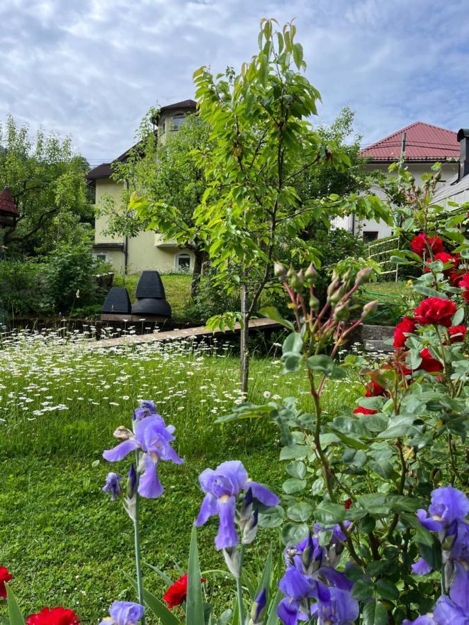 Riverside Villa Avo - Apartment Martin Spodnja Idrija Extérieur photo
