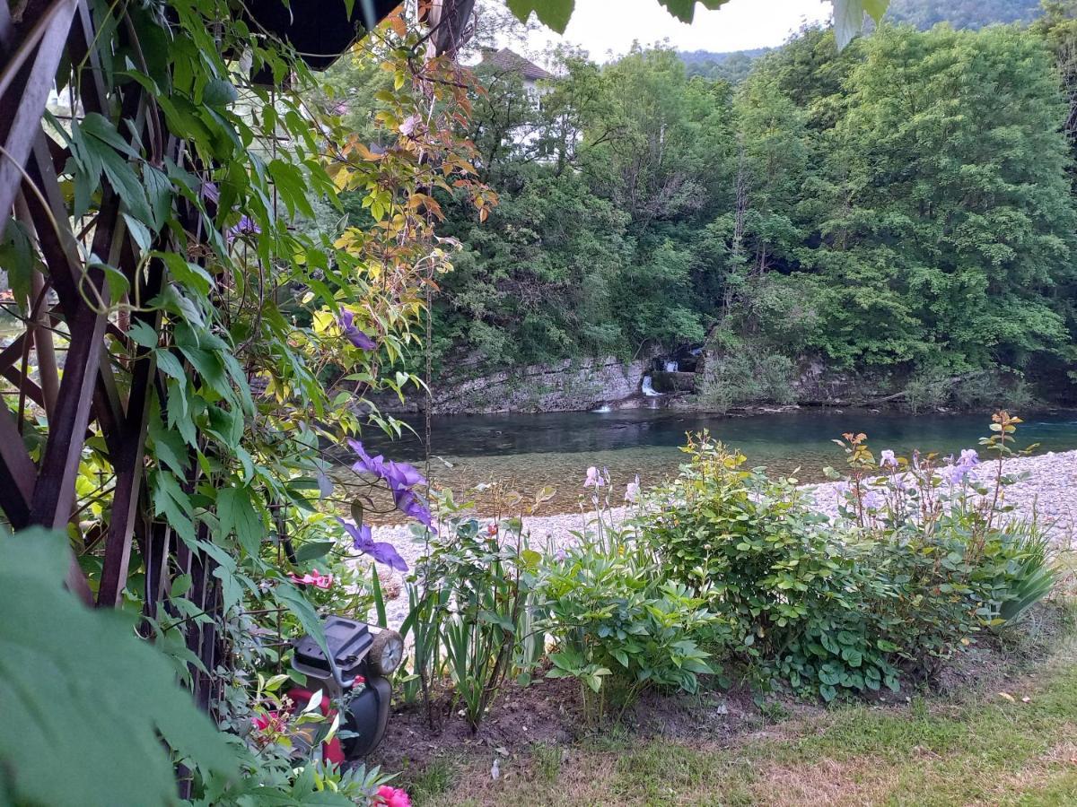Riverside Villa Avo - Apartment Martin Spodnja Idrija Extérieur photo